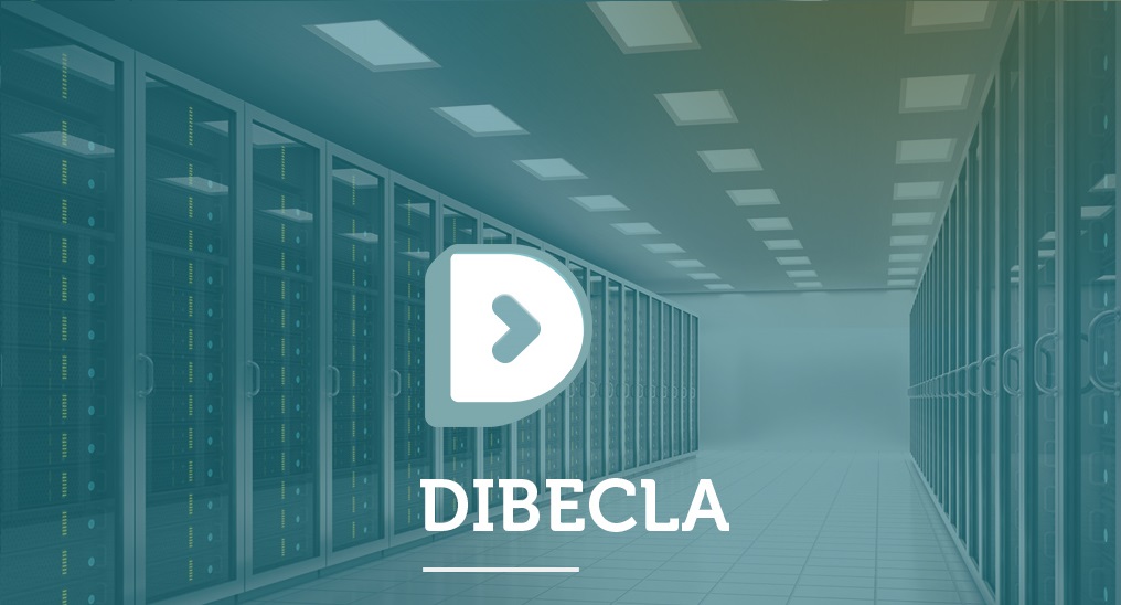 Servidores e infraestructura de sistemas gestionada por Dibecla